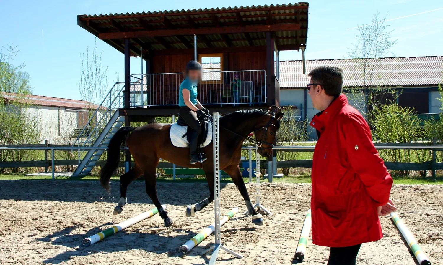 Trainerarbeit in Aktion · Cavalettiarbeit und systematischer Übungsaufbau